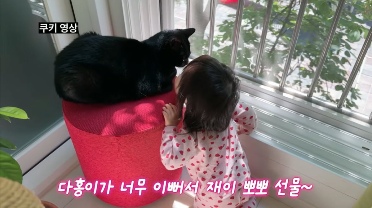 사진=박수홍 유튜브