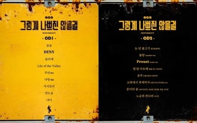안예은, 17곡 꽉 채운 정규 5집으로 컴백…'그렇게 나쁘진 않을걸'
