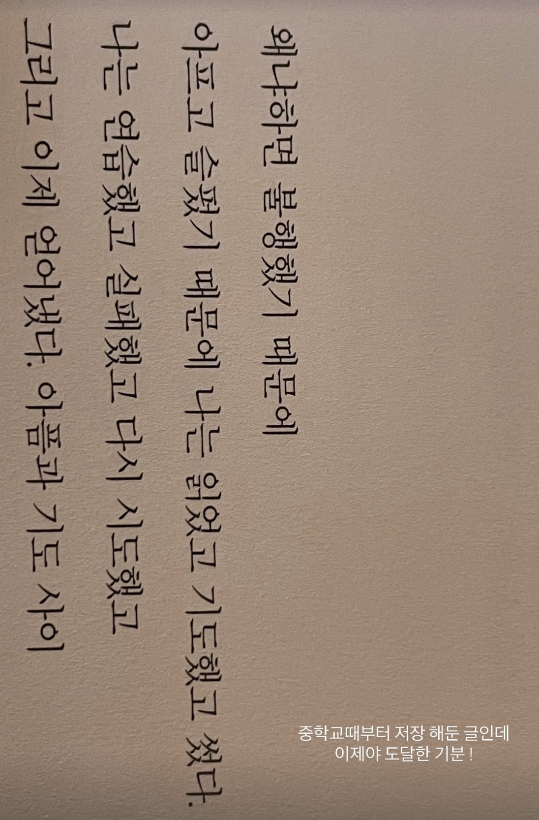 최준희 / 사진 = 최준희 SNS