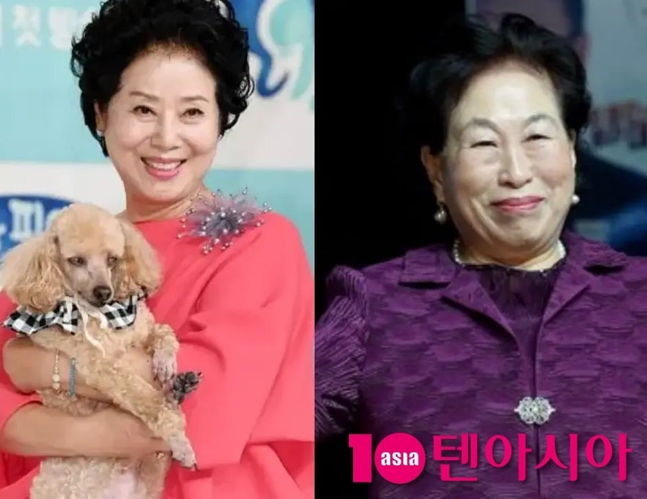 사진 = 텐아시아DB