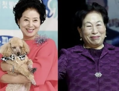선우용여, 알고 보니 전원주와 600평 땅 샀다…“돈 없어 집 못 지어”