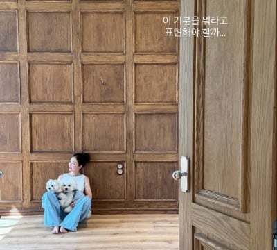 기은세, '민폐 논란' 평창동 자택 내부 공개…"이 기분 뭐라 표현할까"