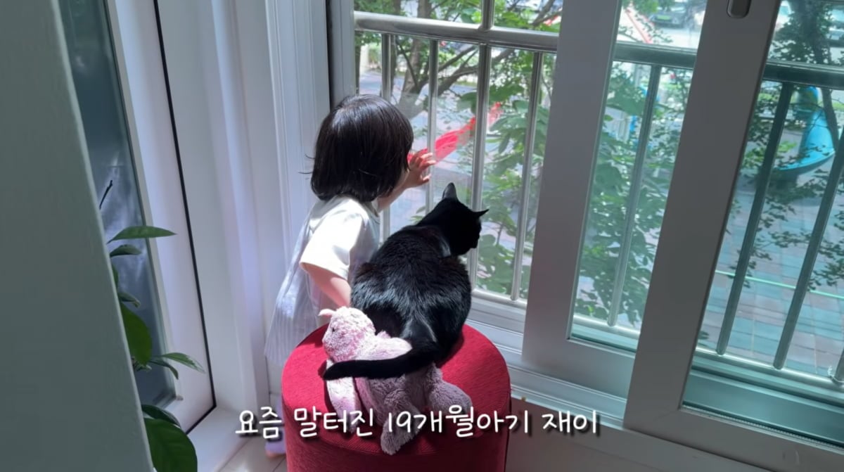 사진=박수홍 유튜브