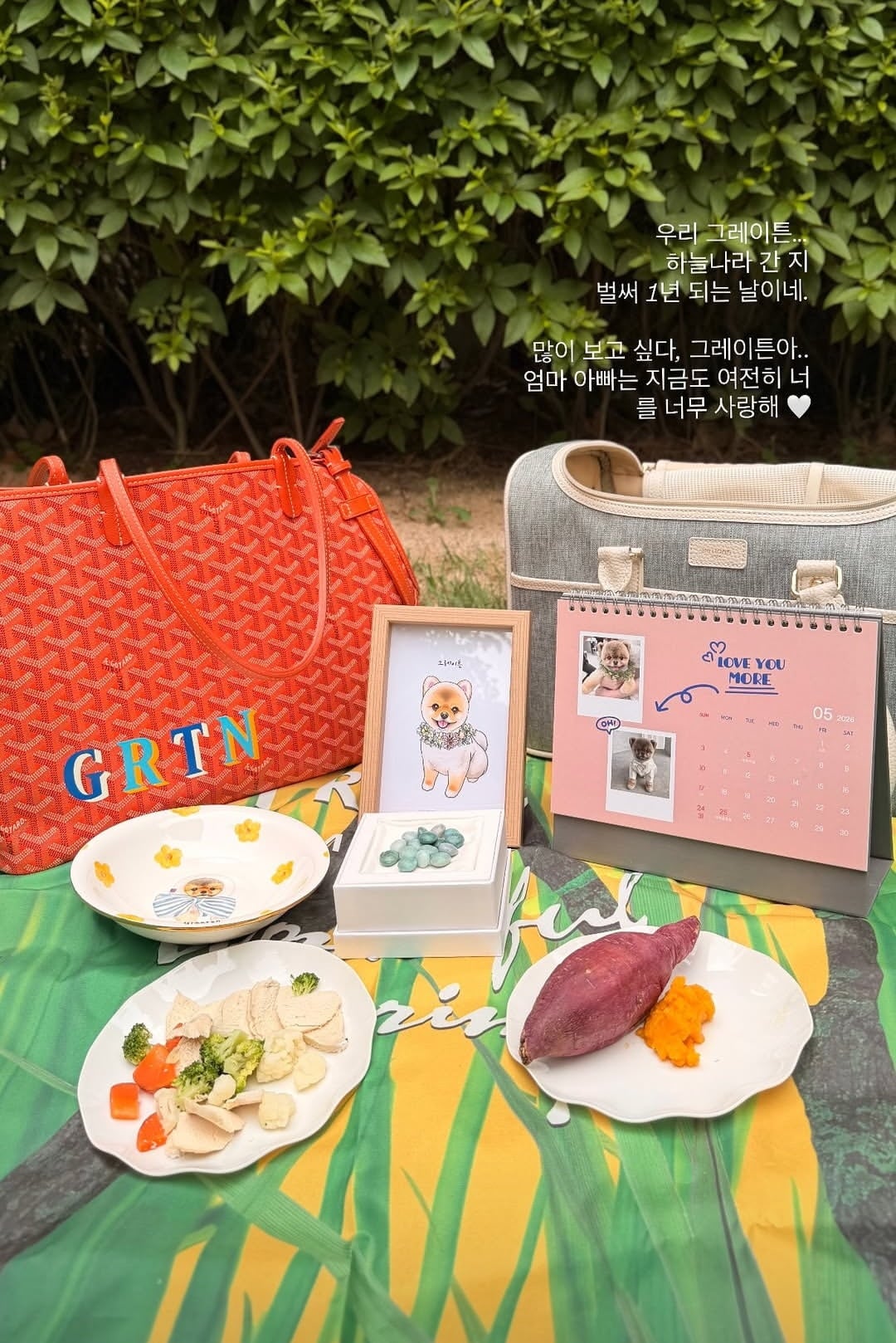 사진=이다해 SNS
