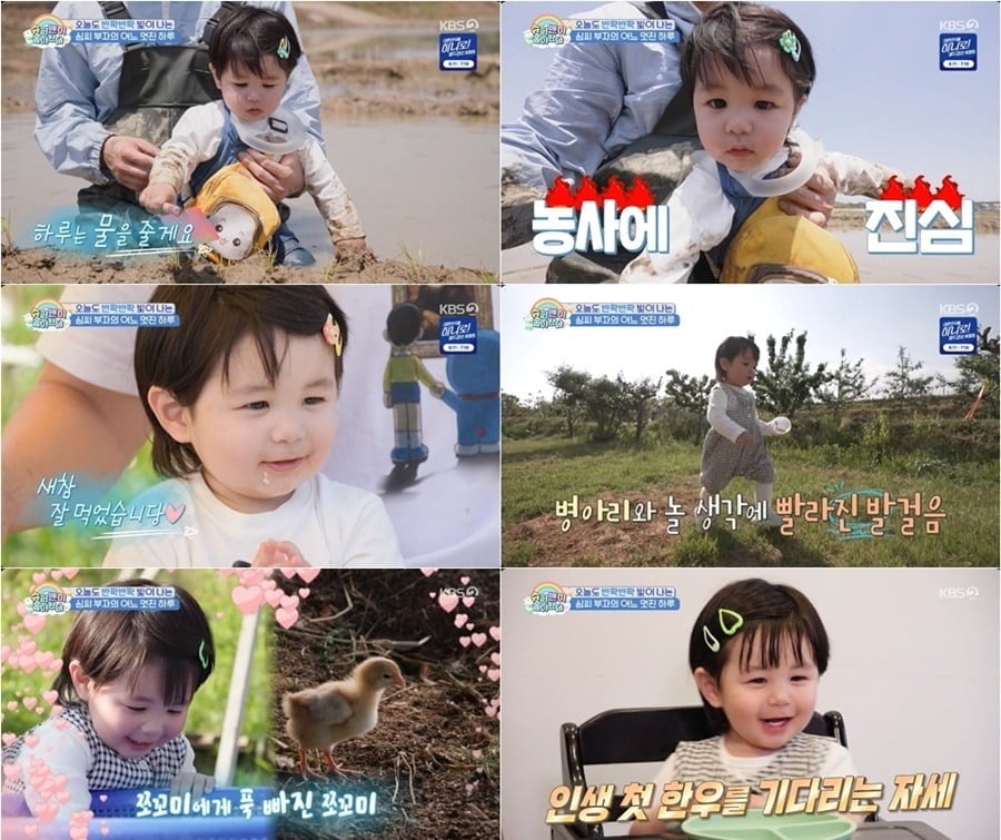 심형탁 아들 하루의 일상이 공개됐다./사진제공=KBS