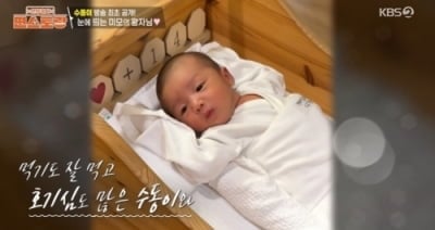 오상진♥김소영, 둘째 아들 방송 최초 공개…'70억 CEO' 출산 직전까지 업무 ('편스토랑')[종합]