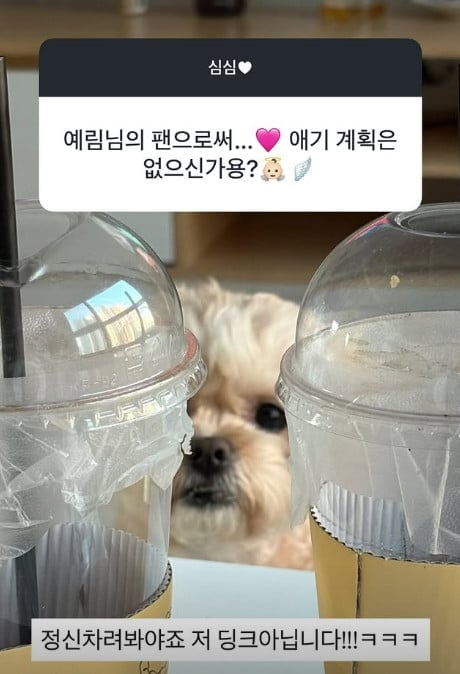 사진=이예림 SNS