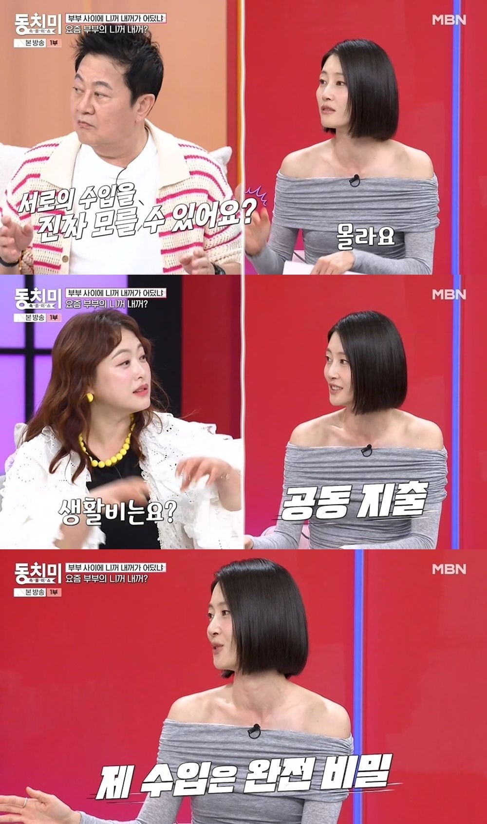 사진 = MBN '속풀이쇼 동치미'