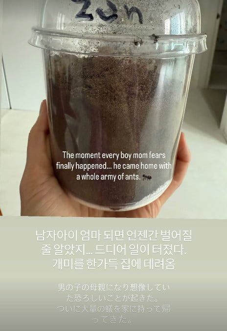 사진=사유리 SNS