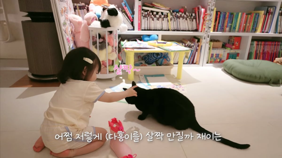 사진=박수홍 유튜브