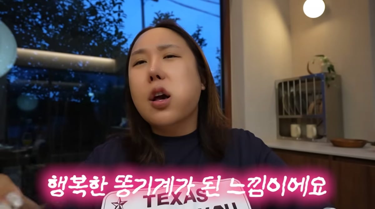 사진=풍자 유튜브