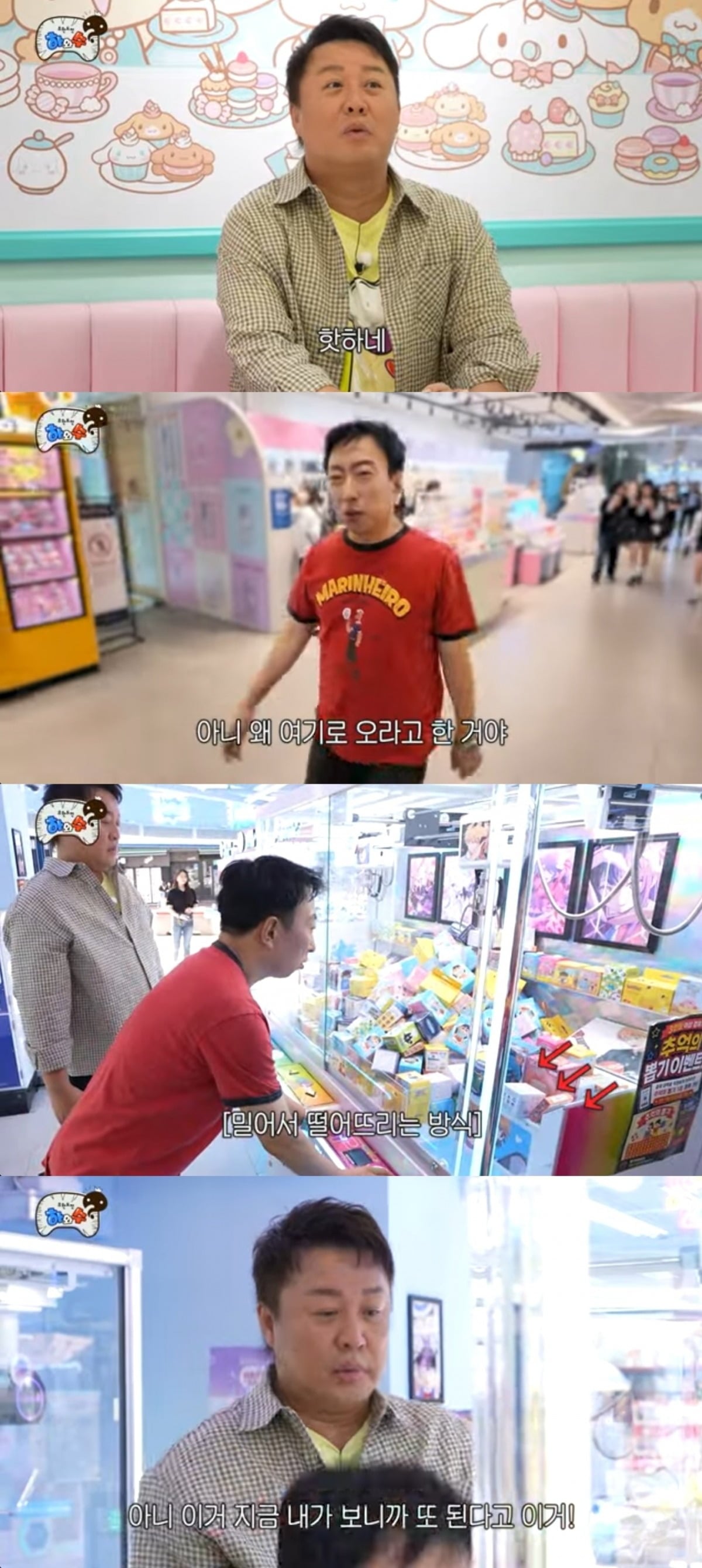 사진 = '하와수' 유튜브 채널 캡처
