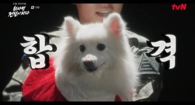 박지훈, 하다하다 강아지 입맛도 사로잡았다…요리 실력 레벨업 ('취사병')