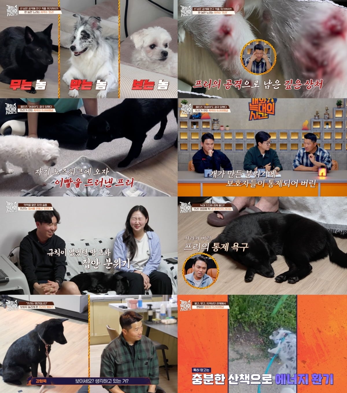 개와 늑대의 시간 / 사진=채널A