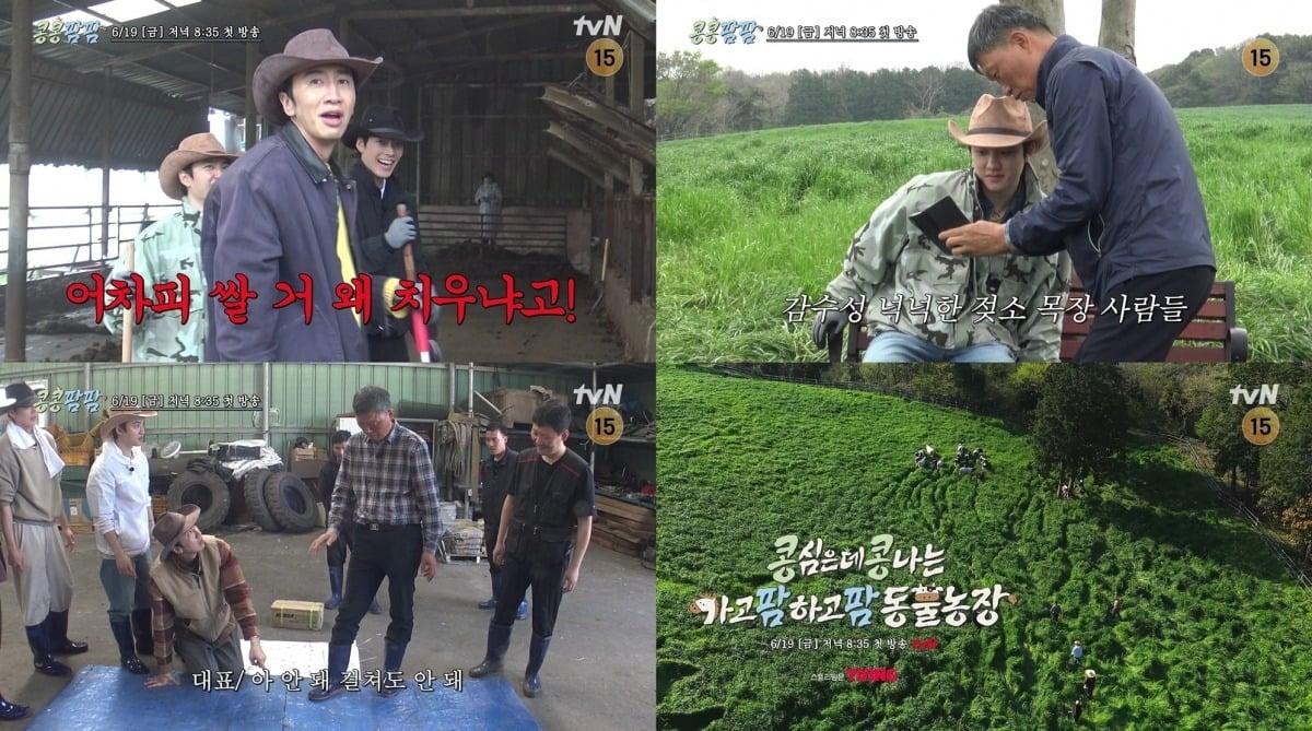 이광수, 김우빈, 도경수가 제주 목장에서 예상치 못한 노동의 현실과 마주한다./사진=tvN 제공