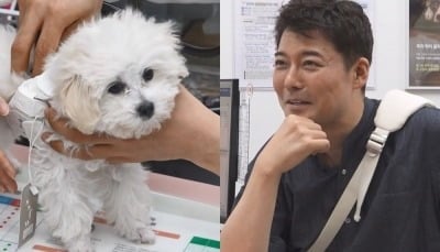 '연수입 40억' 전현무, 새 가족 입양했다더니…지갑 열었다 "반려견 덕에 관계 달라져" ('나혼산')