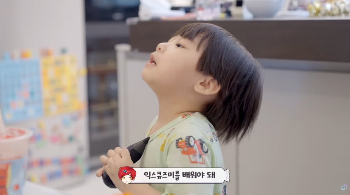 사진=유튜브 '재미하우스'