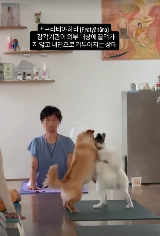 사진=이효리 요가원 SNS