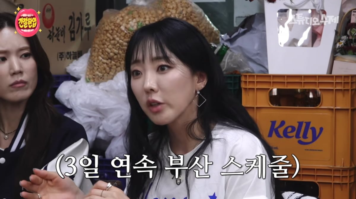 사진=유튜브 '스튜디오 수제'