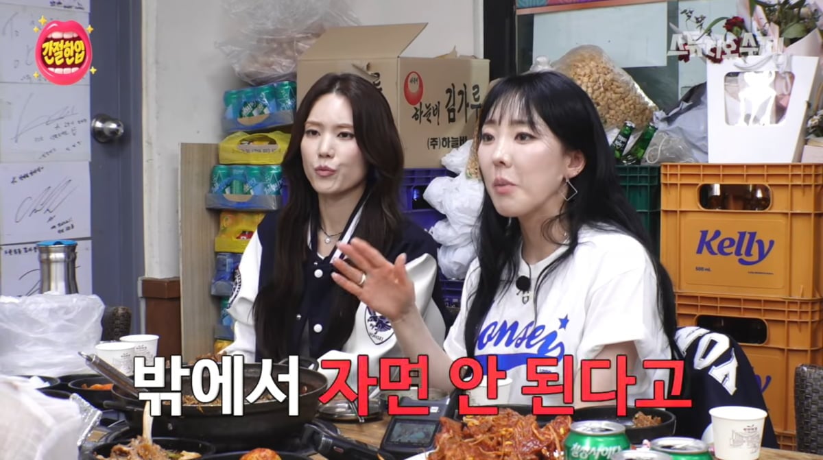 사진=유튜브 '스튜디오 수제'