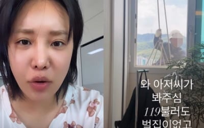 랄랄, 119까지 호출까지 고민했다…말벌 출몰에 비상 "벽 안에 집 지은 듯"