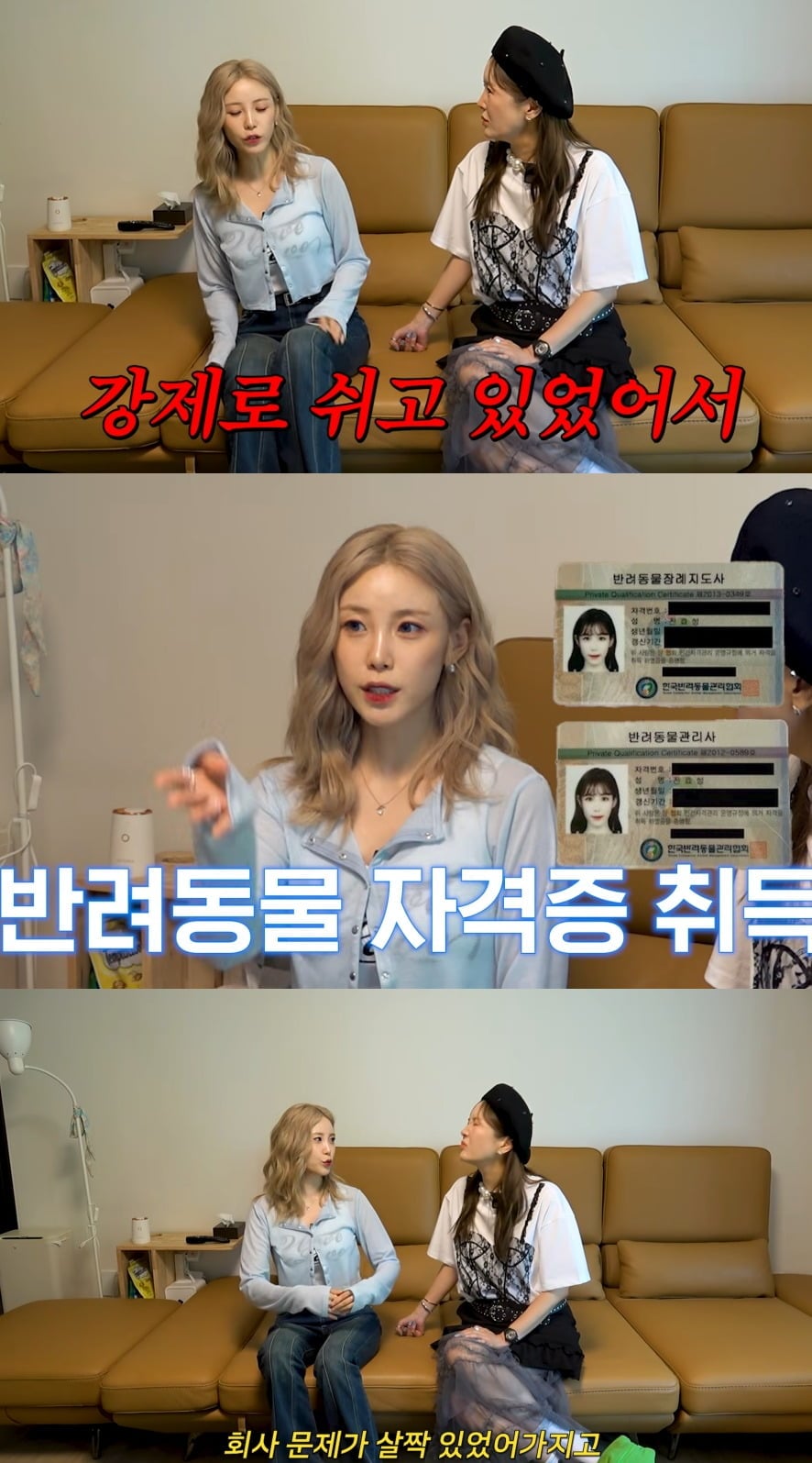 사진 = 유튜브 채널 'A급 장영란'