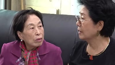 전원주, 600평 땅 개발 보류했다…공사 비용 듣고 '깜짝'