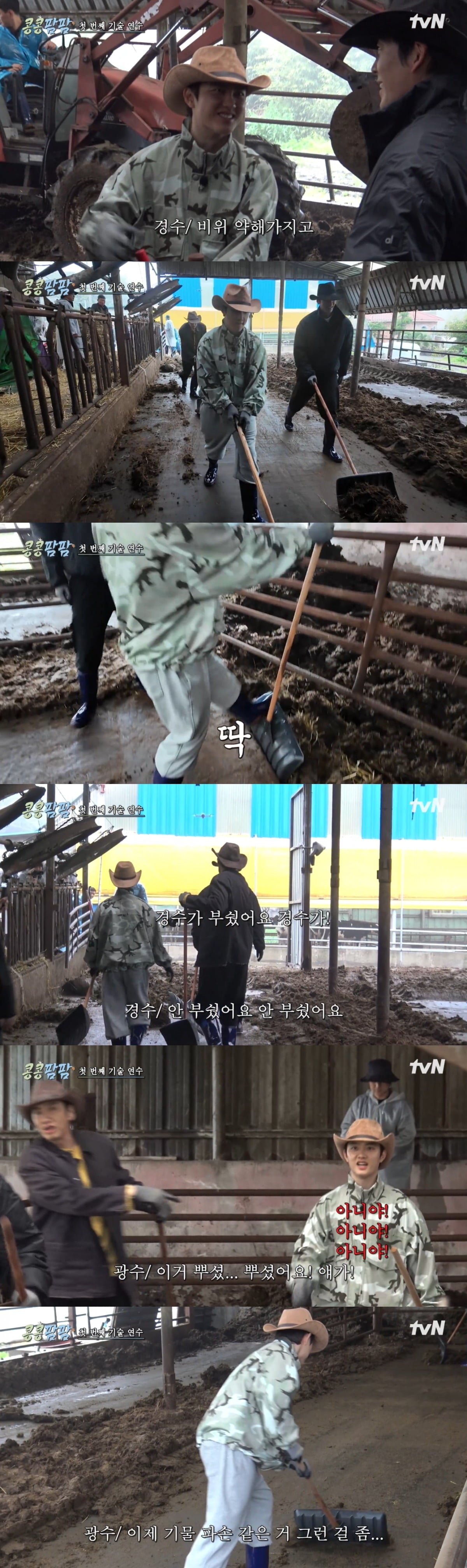 이광수, 김우빈, 도경수가 제주도 젖소 목장으로 목축업을 배우러 갔다. / 사진=tvN '콩콩팜팜' 영상 캡처