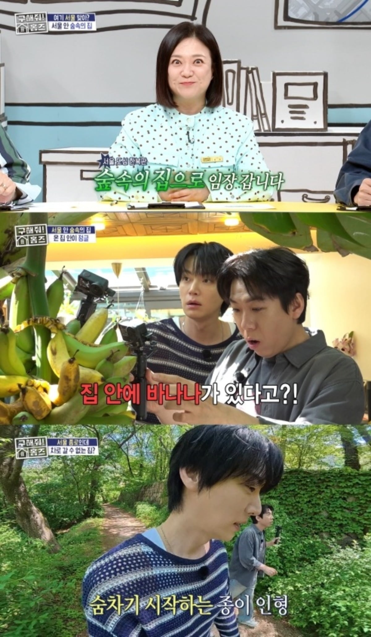 '구해줘! 홈즈'가 도심 속에서도 자연을 만끽할 수 있는 '숲속의 집'을 소개하며 다양한 숲세권 주택을 공개했다./사진=MBC 방송 화면 캡처
