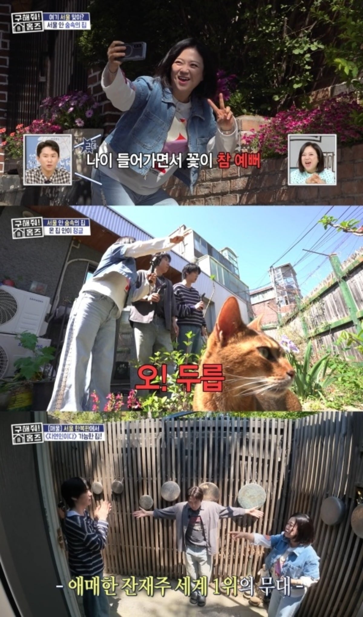 '구해줘! 홈즈'가 도심 속에서도 자연을 만끽할 수 있는 '숲속의 집'을 소개하며 다양한 숲세권 주택을 공개했다./사진=MBC 방송 화면 캡처
