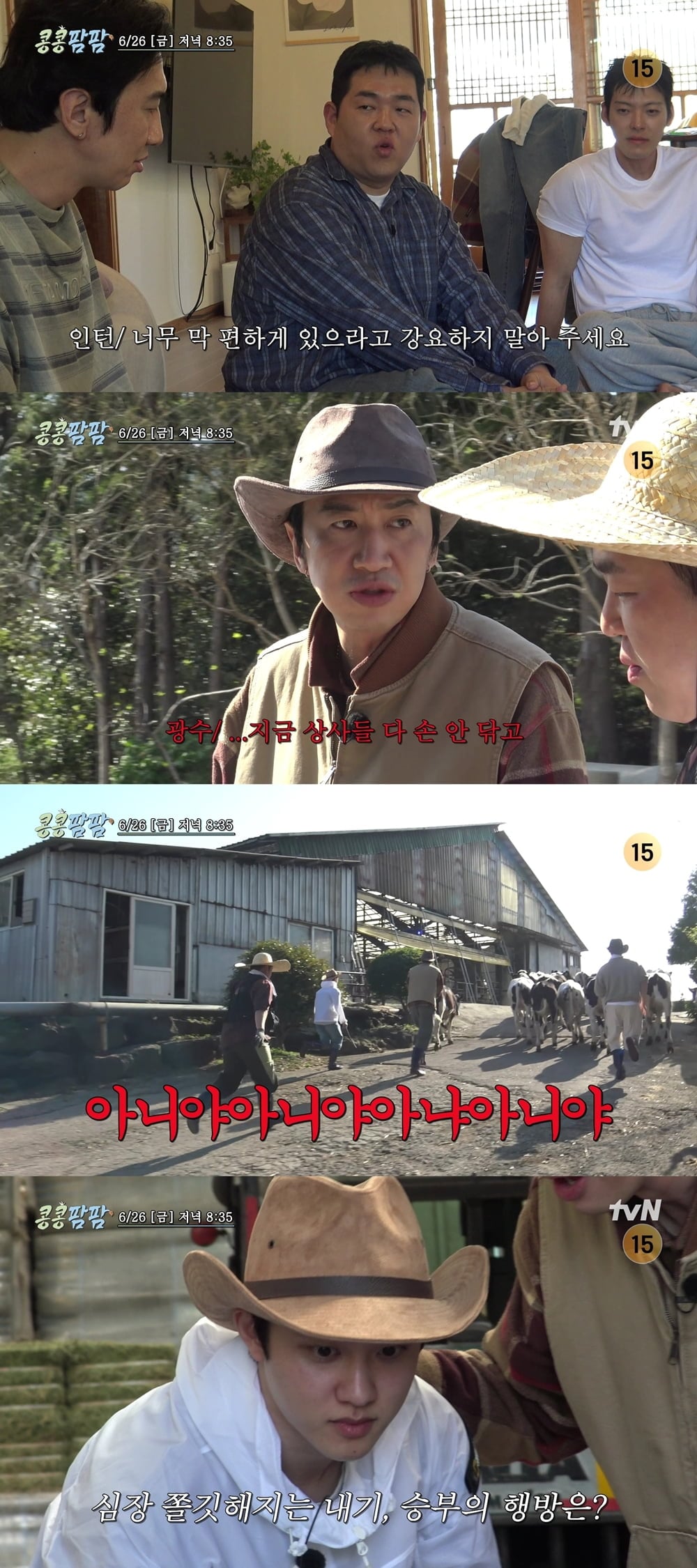 사진 출처=tvN  예고 영상 캡처