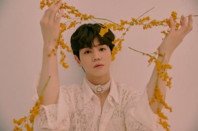 양요섭, 아르바이트 하는 근황…견주들 대신 반려견 개인기 훈련 시켜주기('요즘요섭')