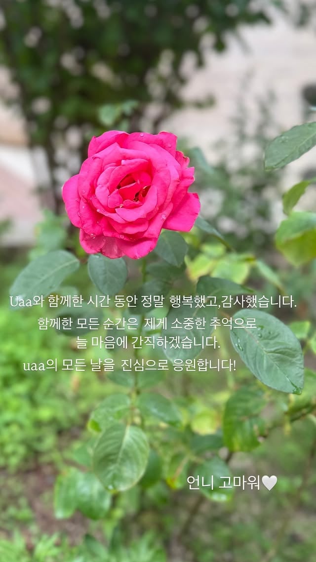 / 사진=송혜교 SNS