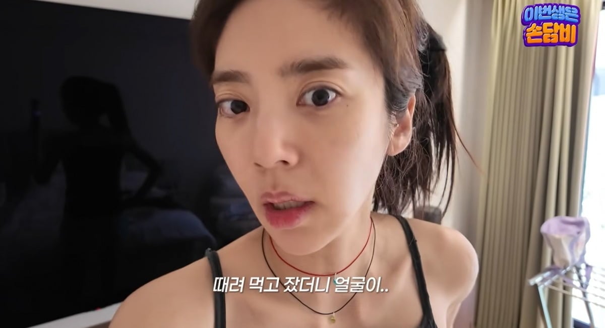 사진 = 유튜브 채널 '담비손 DmabiXon'
