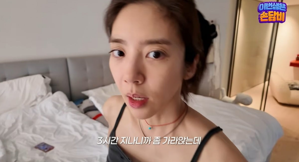 사진 = 유튜브 채널 '담비손 DmabiXon'