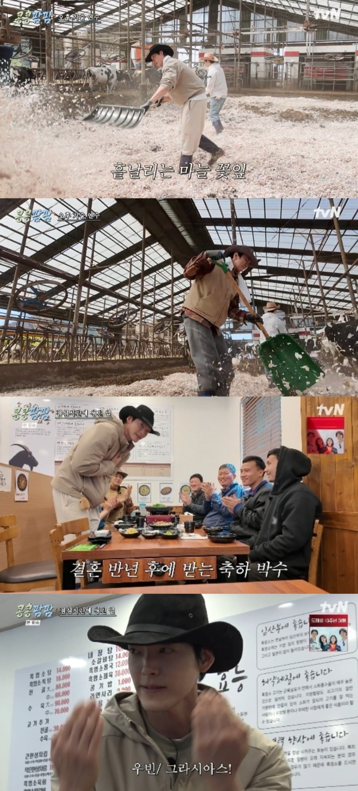 사진 = tvN '콩콩팜팜-콩 심은 데 콩 나는 가고팜 하고팜 동물농장' 캡처