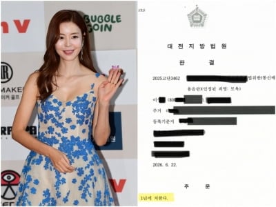 [전문] "김규리 배우에 관한 모욕 글 565회 이상 게시"…악플러 실형 선고 판결문 공개