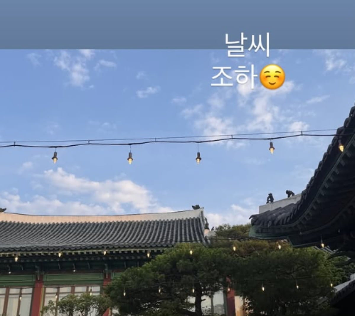 문채원의 결혼식에서 6년 만에 다시 뭉친 '악의 꽃' 팀의 모습이 공개됐다./사진=장희진 SNS