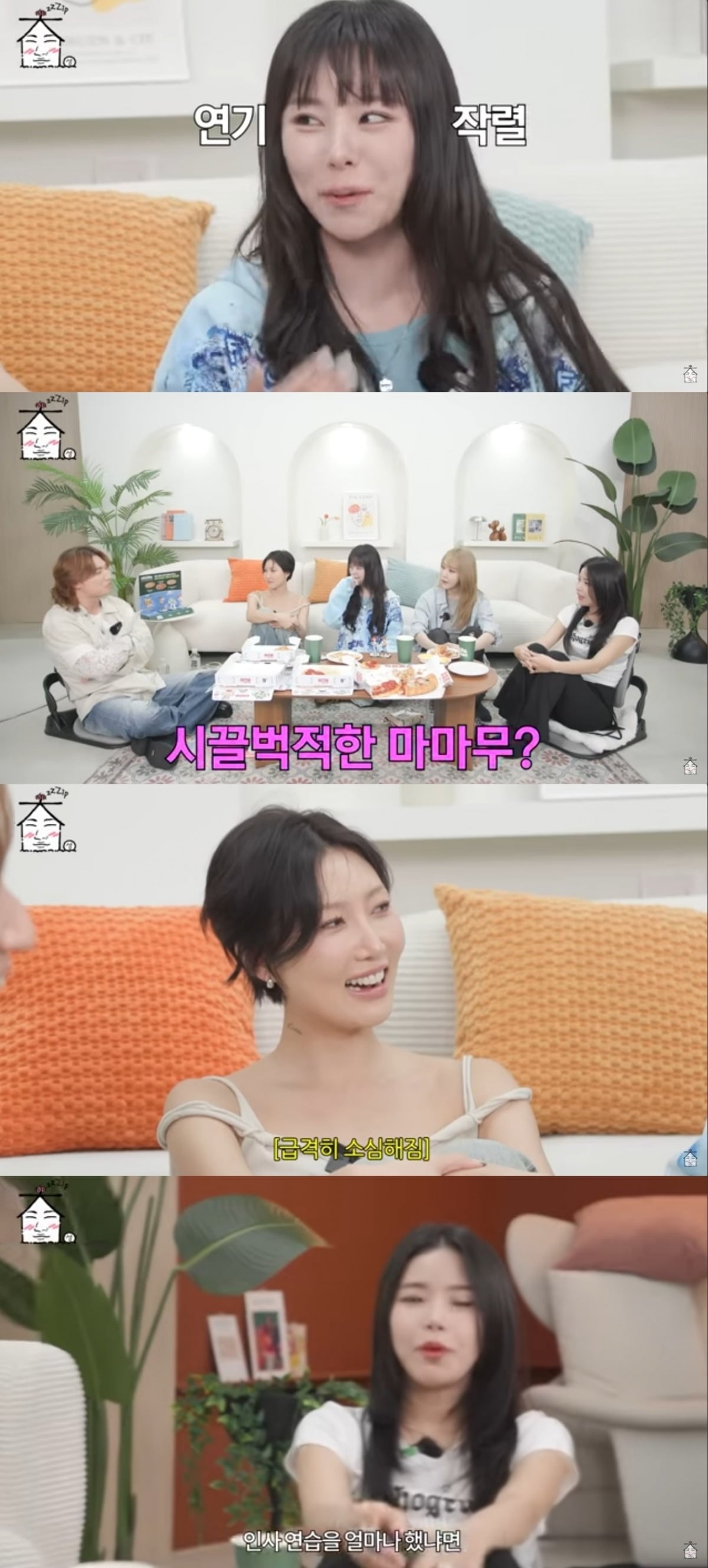 
사진 = '집대성' 유튜브 채널 캡처


