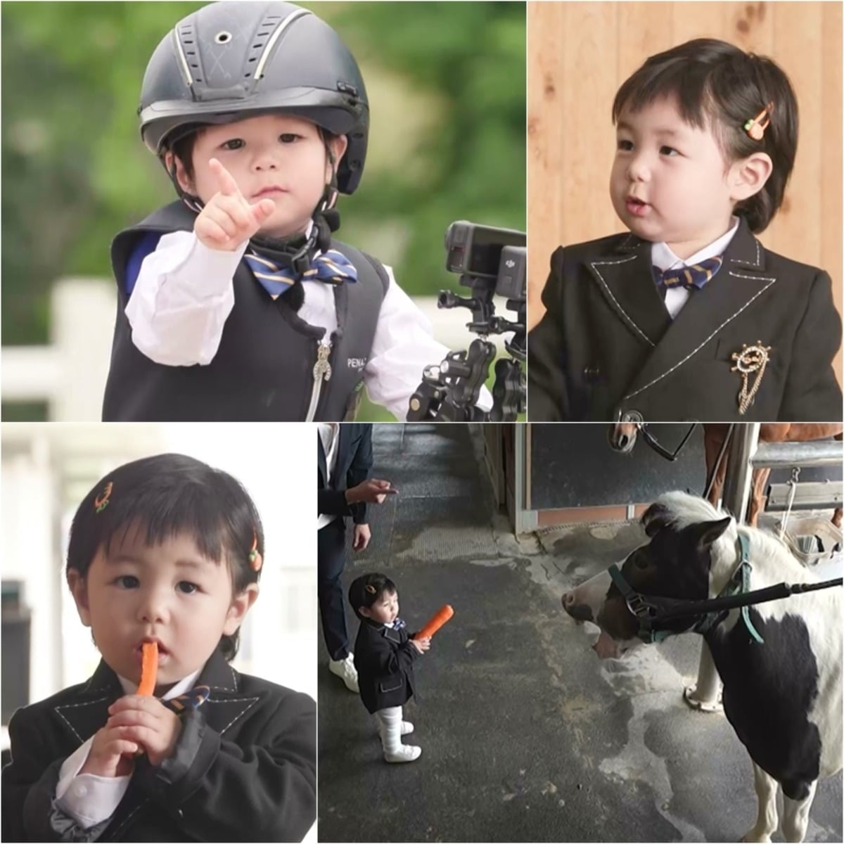 '슈퍼맨이 돌아왔다' 하루가 포니를 만난다. / 사진제공=KBS '슈퍼맨이 돌아왔다'