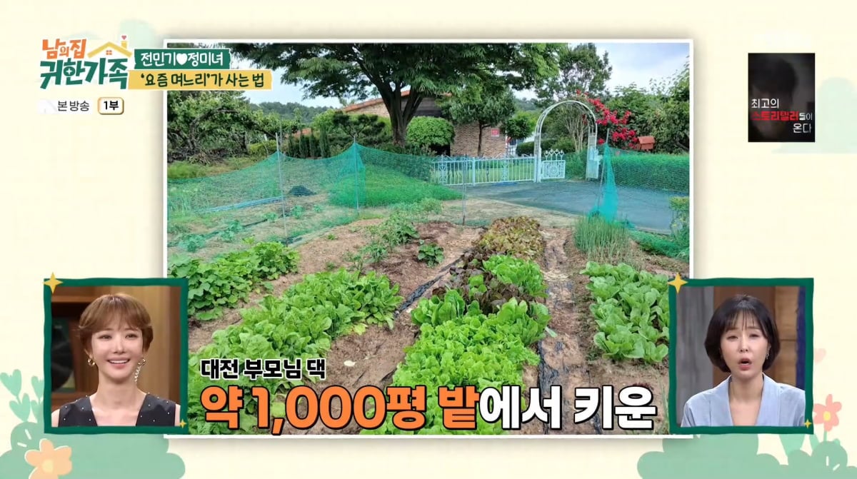 사진=MBN '남의 집 귀한 가족'
