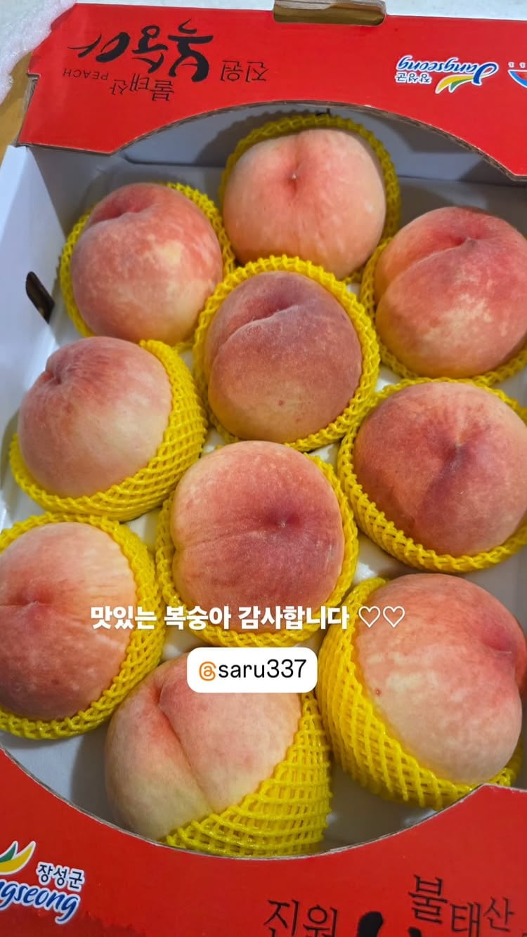 정호영, 송은이랑 이정도로 친해?…복숭아 선물 받는 사이