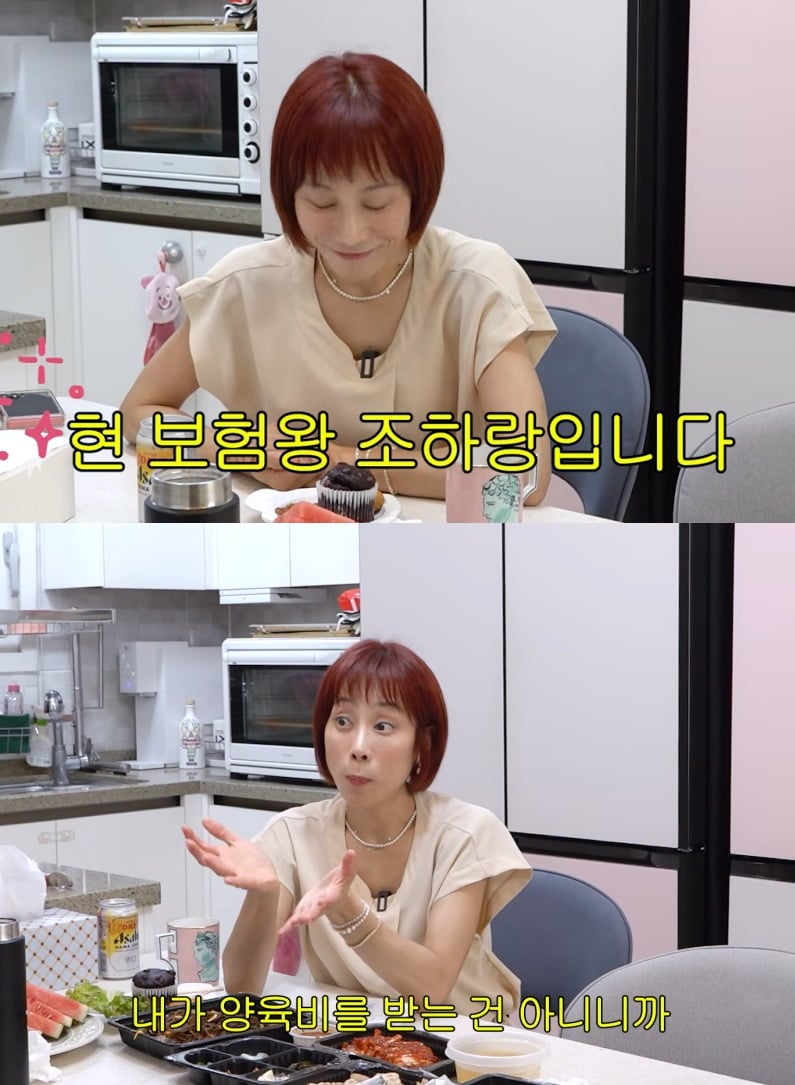 사진 = 유튜브 채널 '개과천선 서인영'