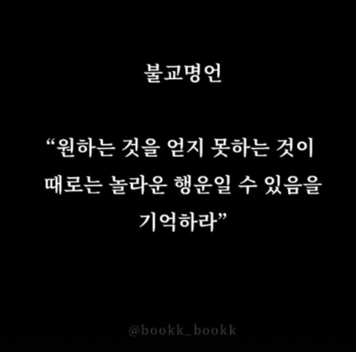 배우 문채원이 결혼 후 처음으로 SNS를 통해 근황을 전했다./사진=문채원 SNS