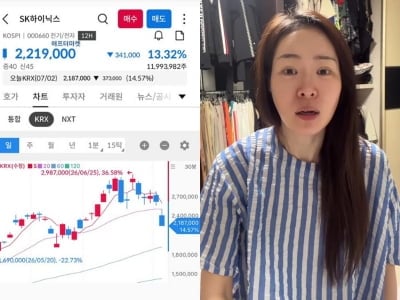 "내 돈 돌려줘"…미자 유튜브 채널, 하이닉스 폭락에 또 '웅성웅성'