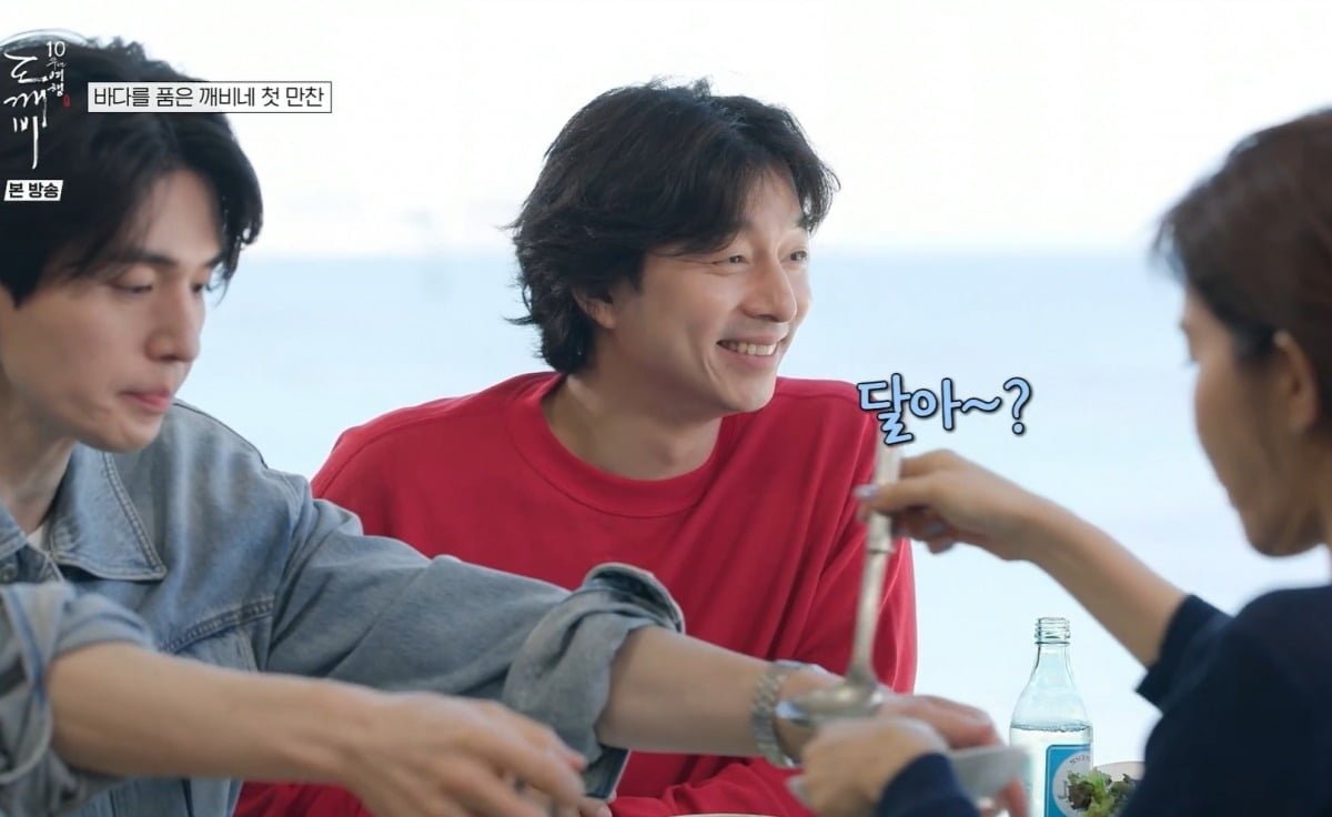 사진 = tvN ‘도깨비 10주년 여행’