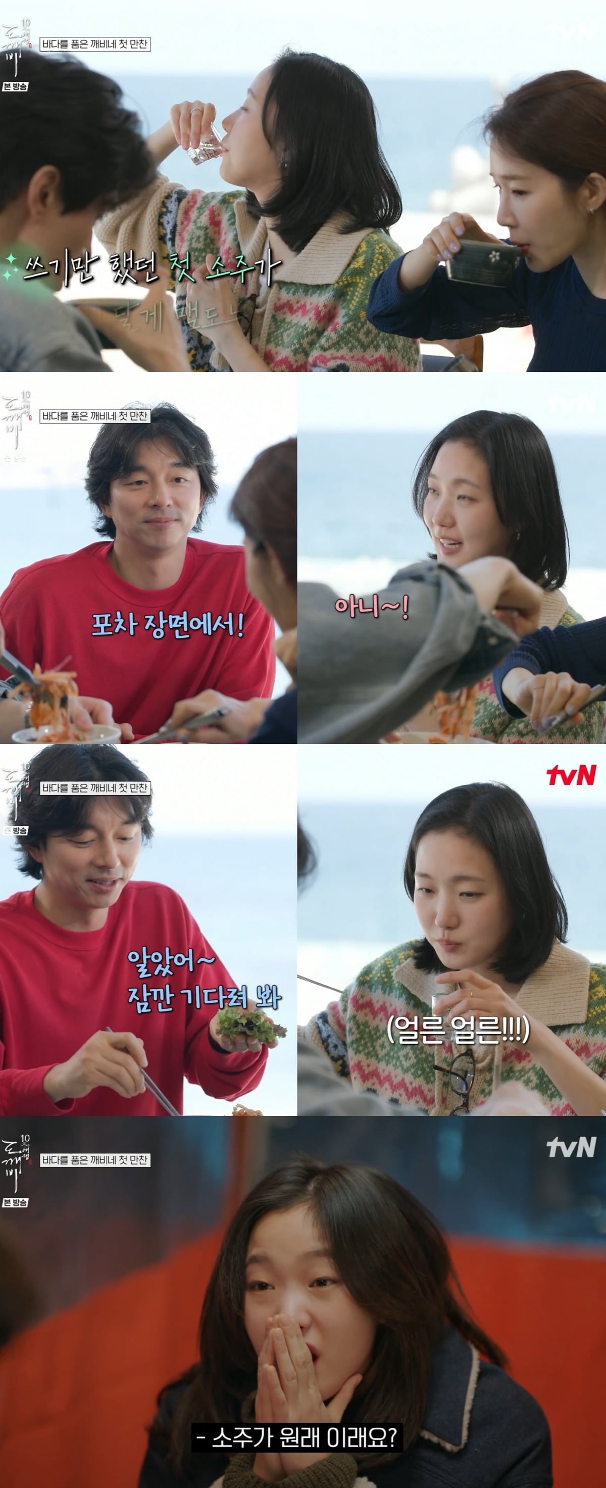 사진 = tvN ‘도깨비 10주년 여행’