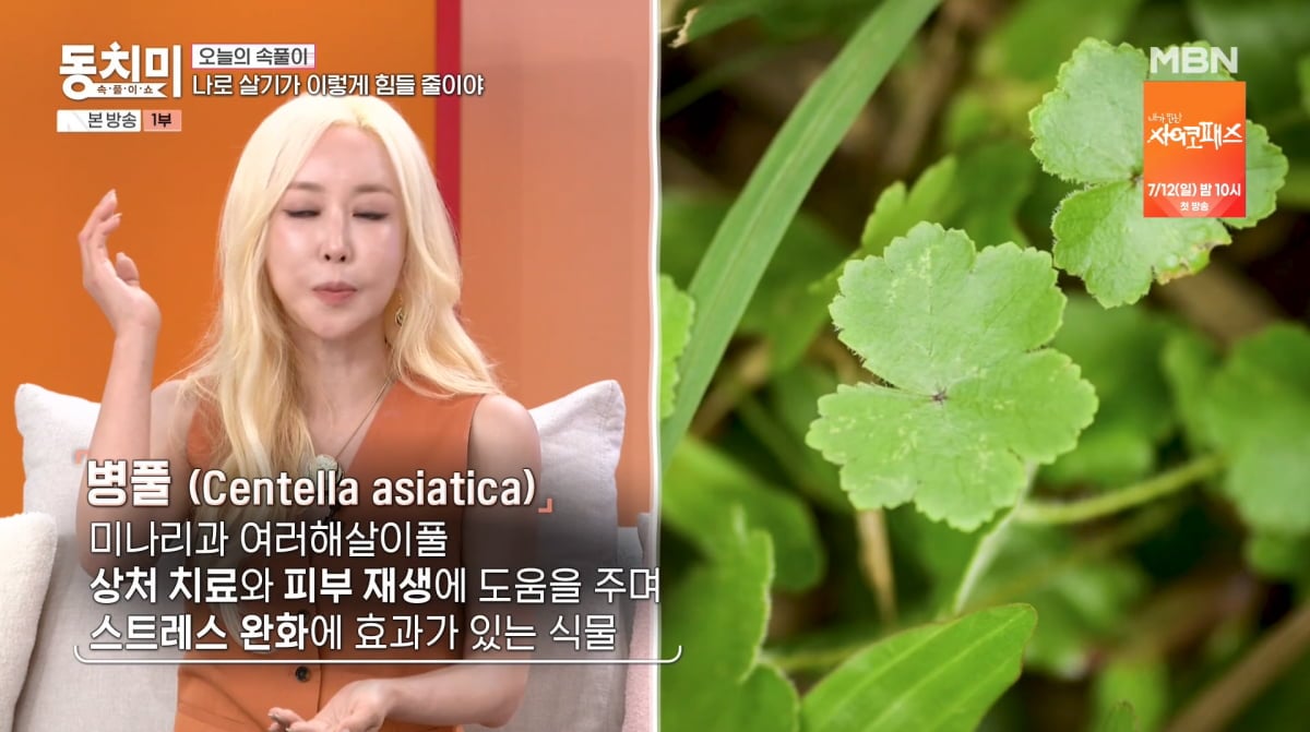 사진=MBN '속풀이쇼 동치미'