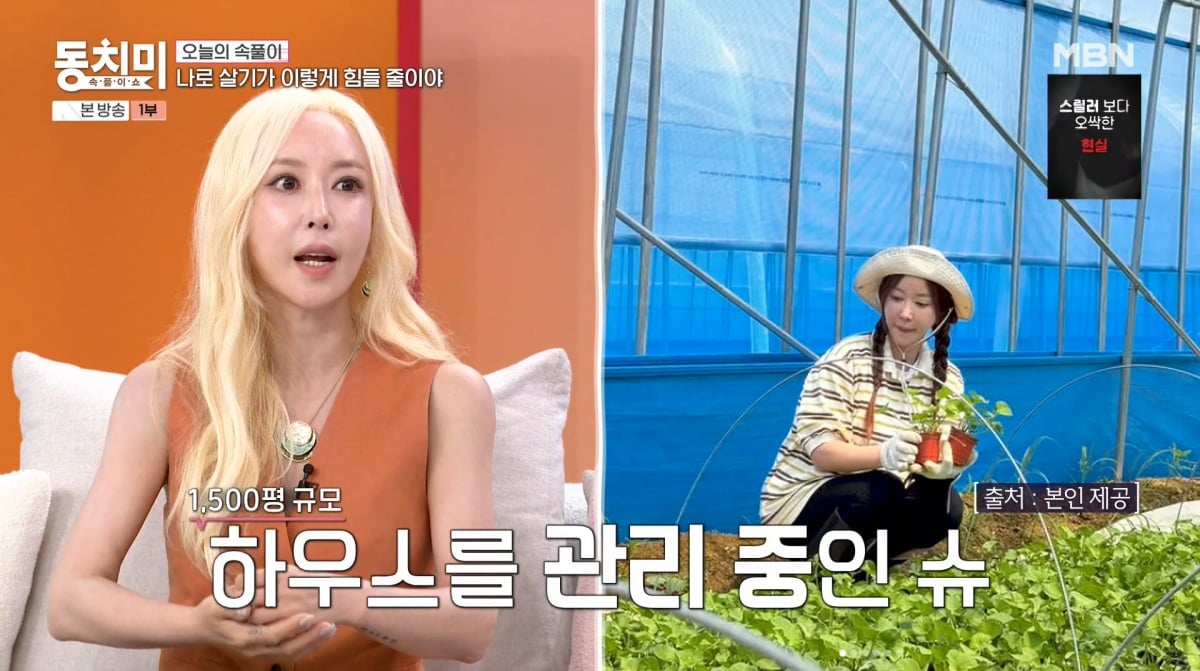 사진=MBN '속풀이쇼 동치미'