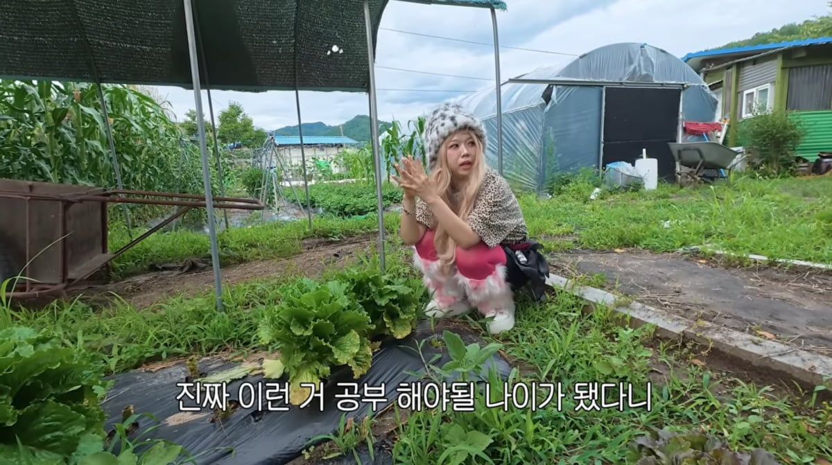 사진=유튜브 '홍쓴TV'